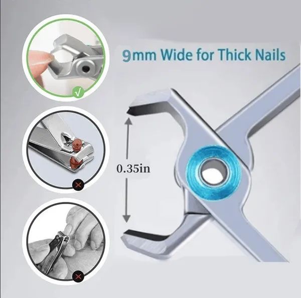 🔥Last Day Sale🔥 Stainless Steel Nail Clippers - Image 2